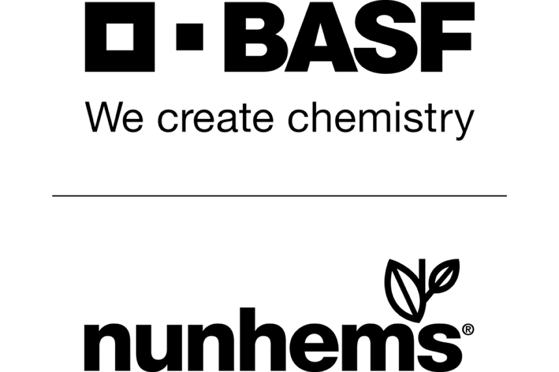 BASF logo grey